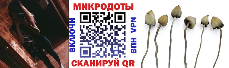 купить  цена  Заволжье  Псилоцибиновые грибы мицелий 