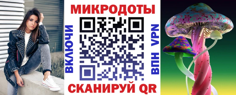 Галлюциногенные грибы Psilocybe Заволжье